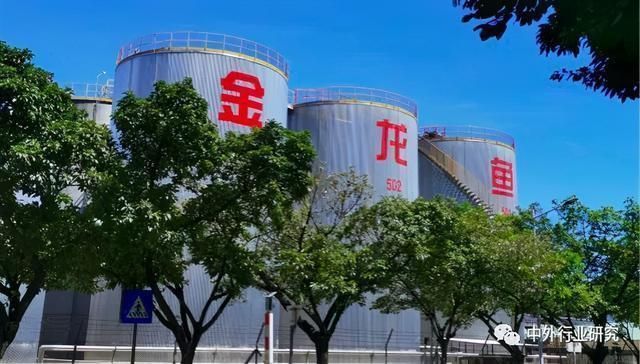 金龍魚的核心競爭力分析（金龍魚的核心競爭力體現在以下幾個方面）