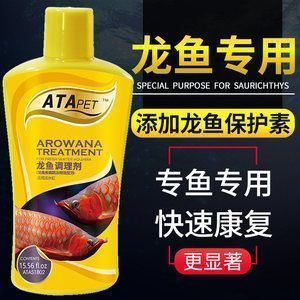 如何調理出龍魚好狀態的魚：龍魚最佳ph值調控技巧，龍魚混養適宜搭配指南，龍魚狀態不佳的急救方法