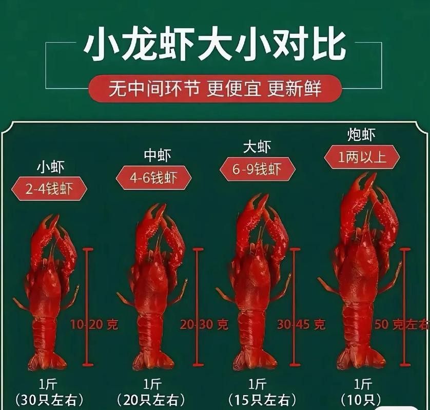 不同種類的龍蝦價格差異大嗎？