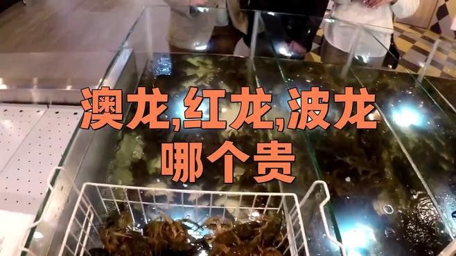 不同種類的龍蝦價格差異大嗎？