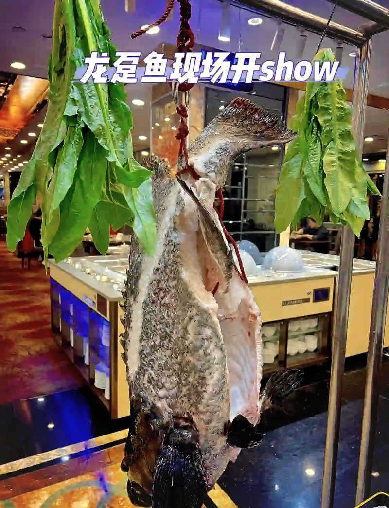 哪個(gè)平臺(tái)的龍躉魚(yú)評(píng)價(jià)最好？