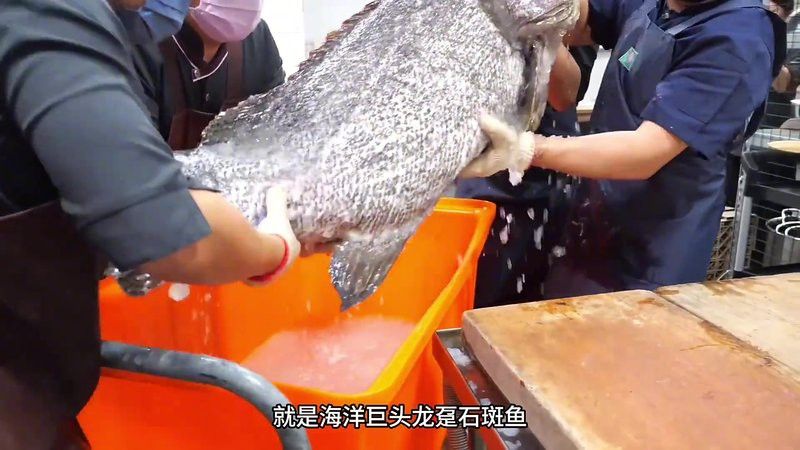 哪個(gè)平臺(tái)的龍躉魚(yú)評(píng)價(jià)最好？
