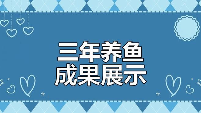金龍魚和紅龍魚能不能混養(yǎng)一起