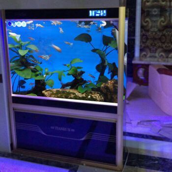 金龍魚缸什么牌子好一點的（佳寶魚缸生態技術特點）