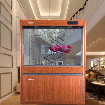 金龍魚缸什么牌子好一點的（佳寶魚缸生態技術特點）