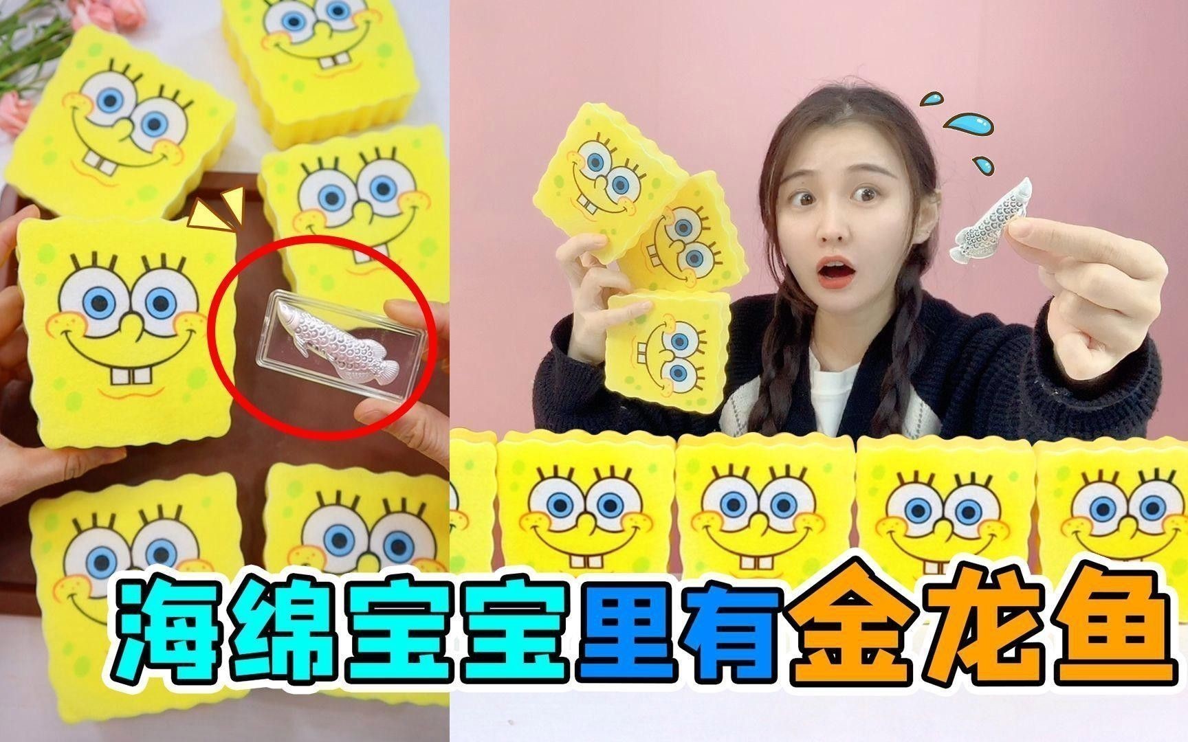 小金龍魚怎么飼養？ 小金龍魚怎么飼養？ 龍魚百科 第3張