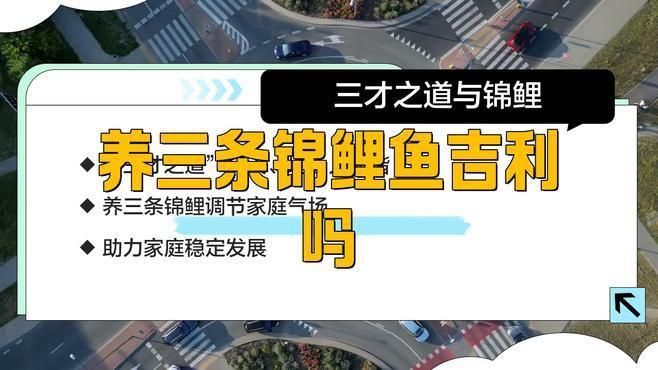 錦鯉養(yǎng)三條好還是六條好
