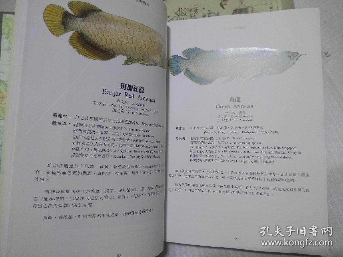 龍魚開口了應該就沒問題了吧英文
