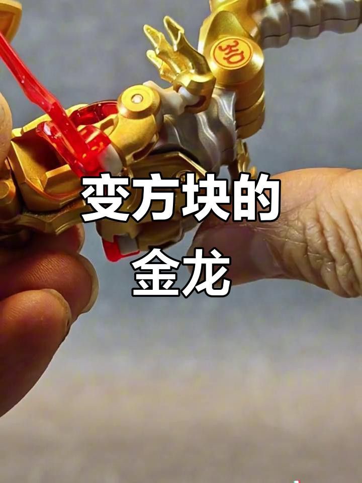 金龍魚騎士哥的真實身份是什么？