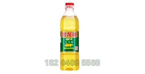 沈陽金龍魚批發電話號碼，沈陽金龍魚批發電話信息
