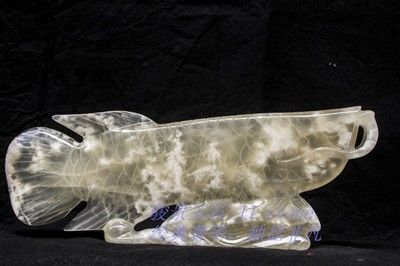 沈陽金龍魚批發電話號碼，沈陽金龍魚批發電話信息