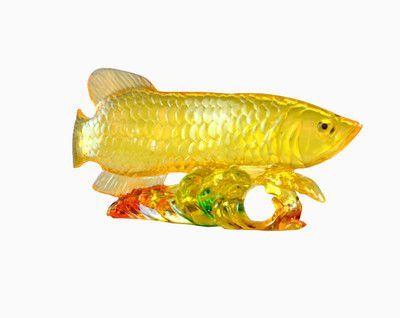 金龍魚擺件可以朝向家門口嗎：金龍魚擺件可以朝向家門口嗎金龍魚擺件可以朝向家門口嗎