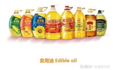 金龍魚行業排名榜前十名（品金龍魚品牌排行榜前十名）