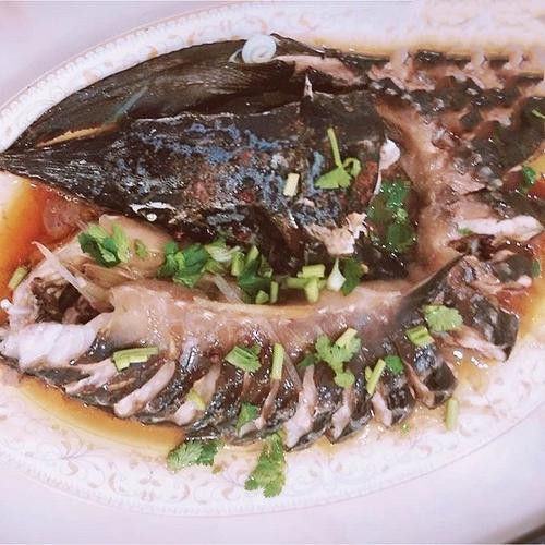 清蒸鱘龍魚圖片高清