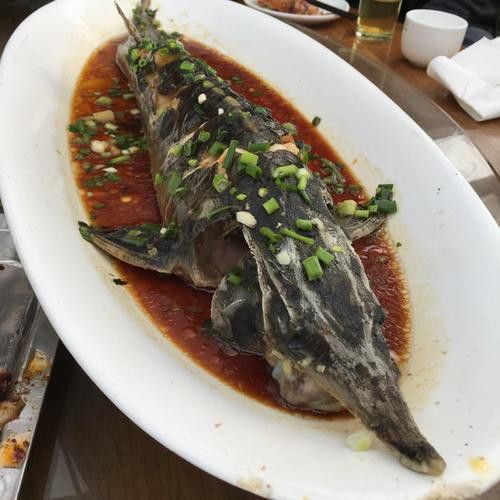 清蒸鱘龍魚圖片高清