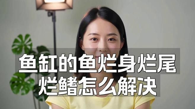 如何預防銀龍魚再次爛尾爛鰭？