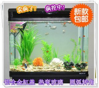 魚缸養龍魚：魚缸計算器龍魚之巔