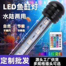 龍魚燈的最佳購買品牌推薦