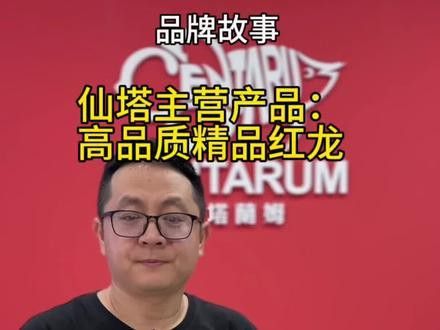 紅龍魚品牌推薦一下圖片及價格介紹大全