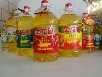 進口金龍魚的價格：進口金龍魚價格受到多種因素影響價格受到多種因素影響