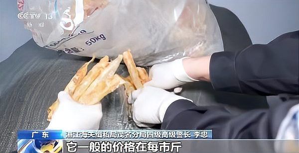 有沒有具體的非法進口紅龍魚案例？