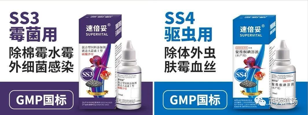 紅龍魚飼料添加劑選擇：紅龍魚飼料添加劑品牌推薦