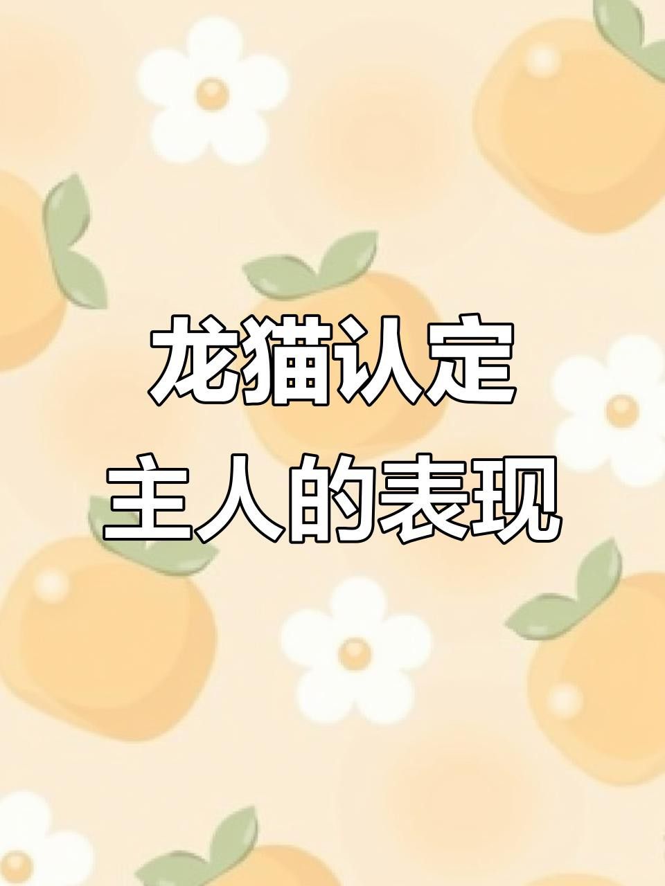 龍貓多久才會(huì)認(rèn)主人？