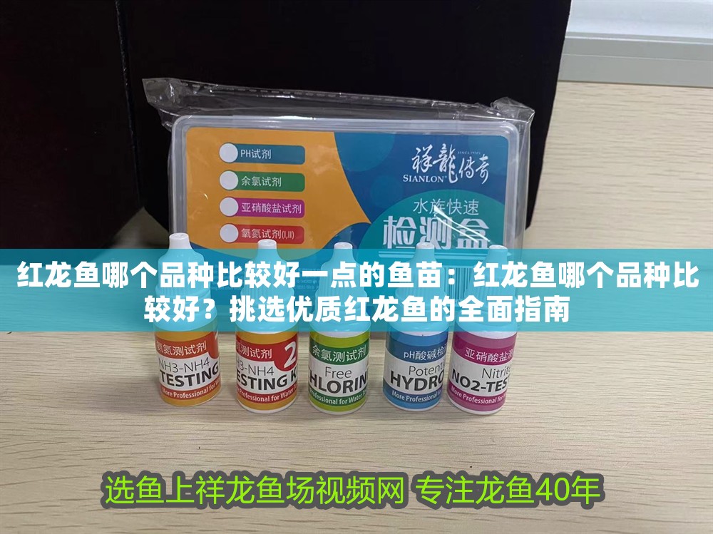 紅龍魚哪個品種比較好一點的魚苗：紅龍魚哪個品種比較好？挑選優質紅龍魚的全面指南