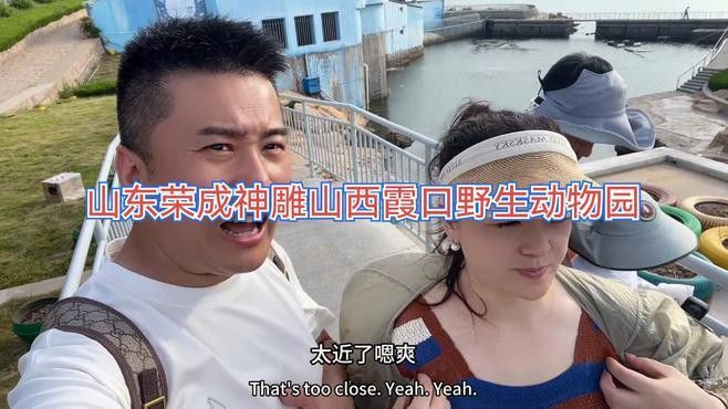 帝龍漁業(yè)龍魚證書