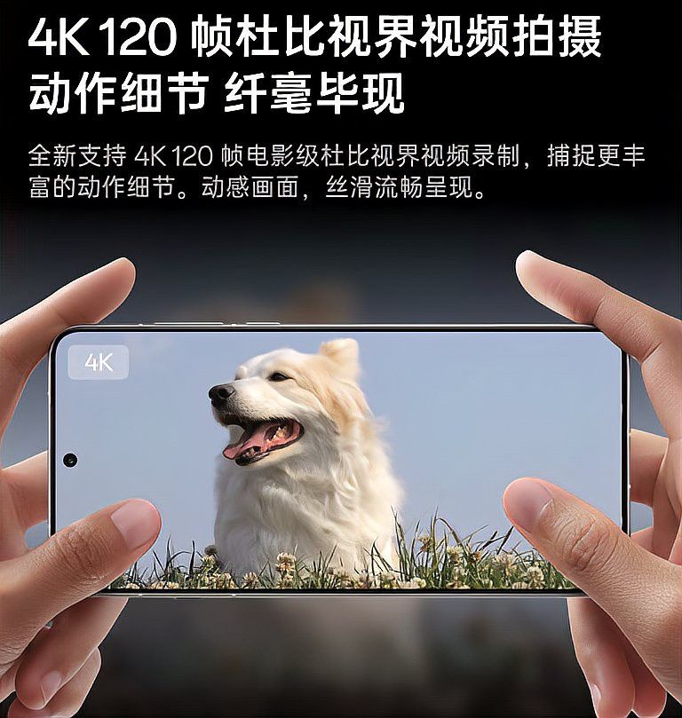 有哪些手機適合拍攝金龍魚視頻？