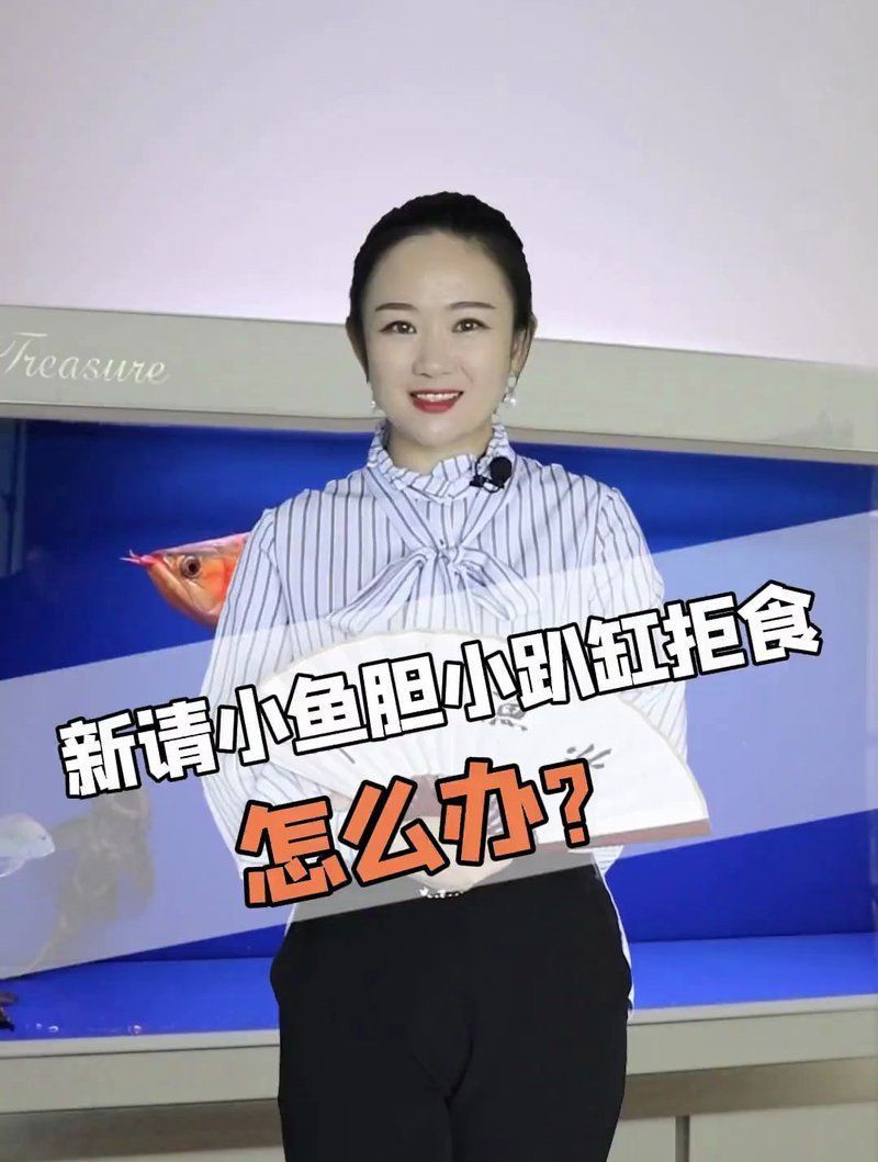 金龍魚膽子小最忌三種魚