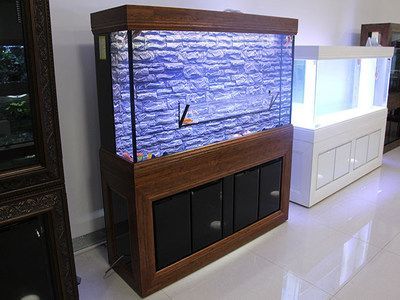 龍魚缸水質標準：飼養龍魚需要嚴格控制水質的各項指標：飼養龍魚需要嚴格控制水質的各項指標