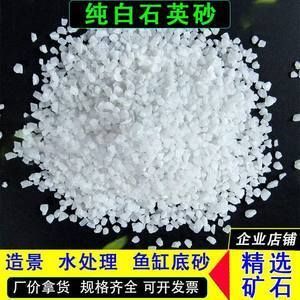 金龍魚用什么顏色的底砂好看：選擇金龍魚魚缸底砂顏色時有幾個因素需要考慮 金龍魚用什么顏色的底砂好看：選擇金龍魚魚缸底砂顏色時有幾個因素需要考慮 龍魚百科 第3張