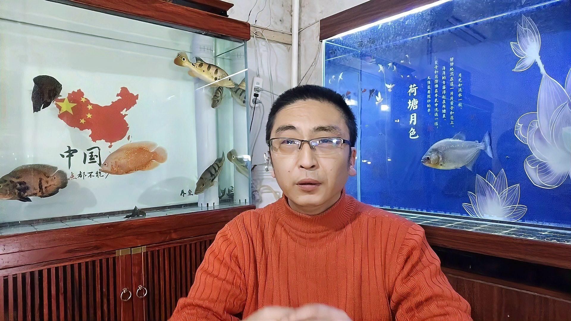 金魚和龍魚混養掉色