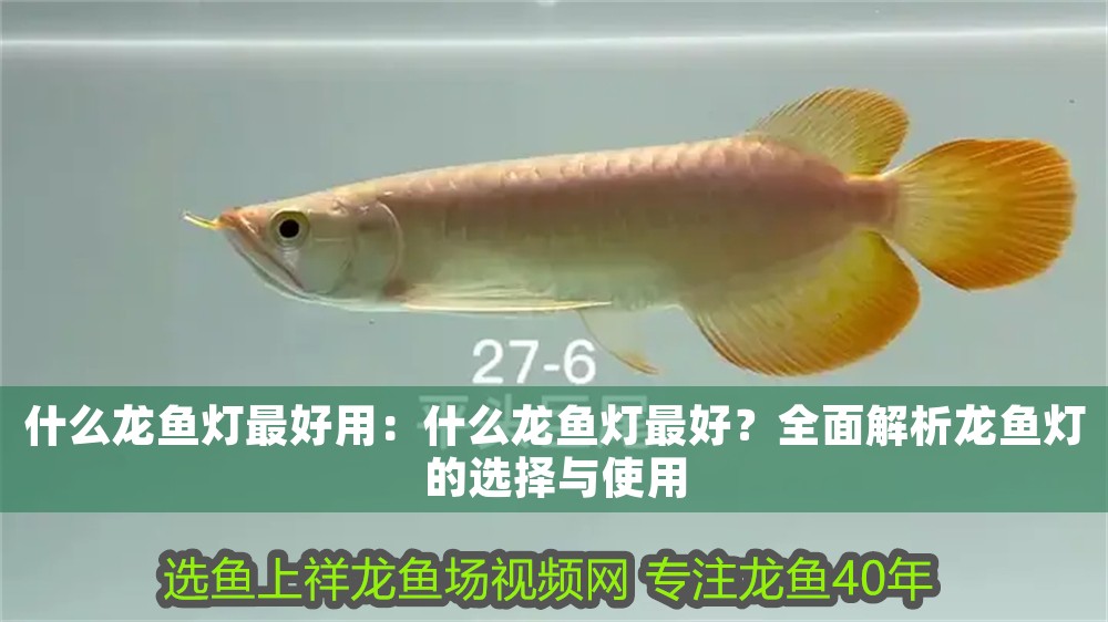 什么龍魚(yú)燈最好用：什么龍魚(yú)燈最好？全面解析龍魚(yú)燈的選擇與使用