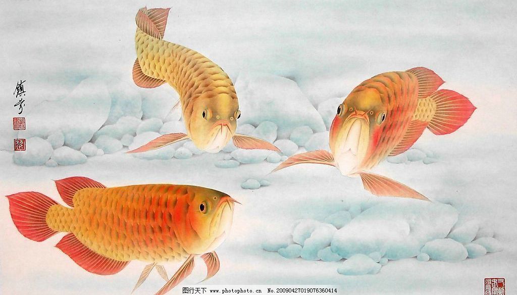 工筆畫金龍魚：工筆畫金龍魚工筆畫的畫法步驟，細(xì)致入微的工作需要耐心和技巧