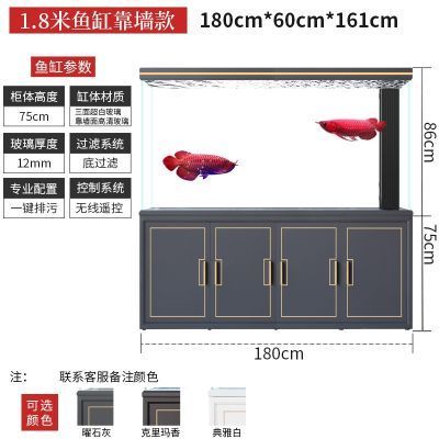 60的魚缸養龍魚最后會怎樣（60公分魚缸能養多少龍魚？）