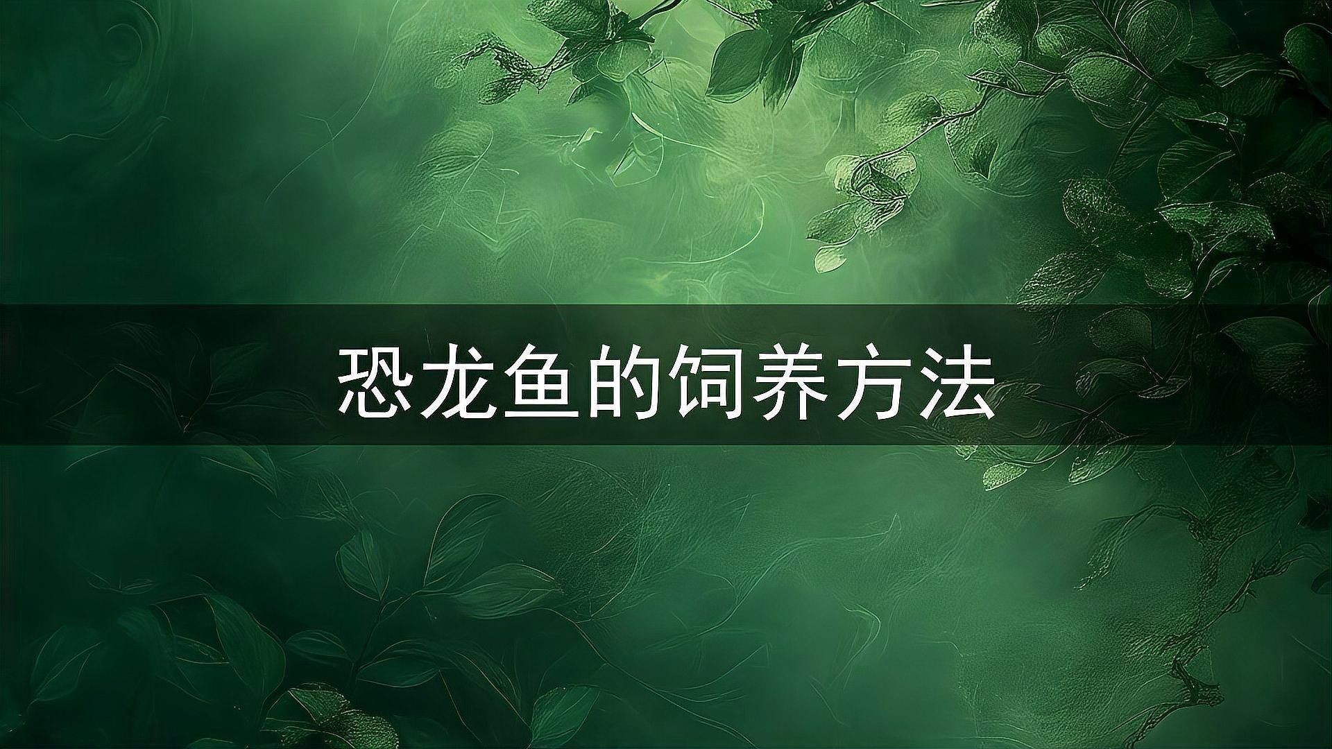 恐龍魚愛動嗎怎么養