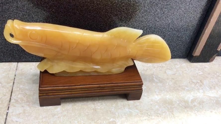 玉金龍魚圖片高清壁紙