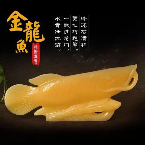 玉金龍魚圖片高清壁紙