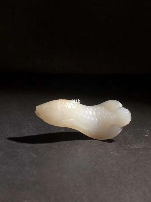 玉金龍魚圖片高清壁紙
