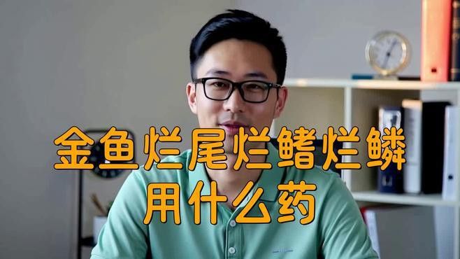 哪種特效藥對龍魚爛鰭最有效？