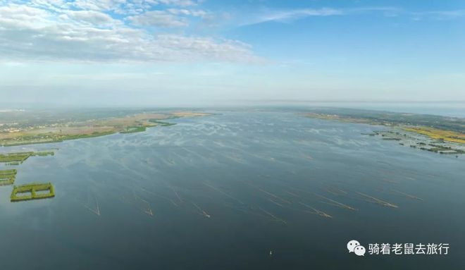 龍魚之家魚缸怎么樣：龍魚之家水族館，探索神秘水族世界的瑰寶