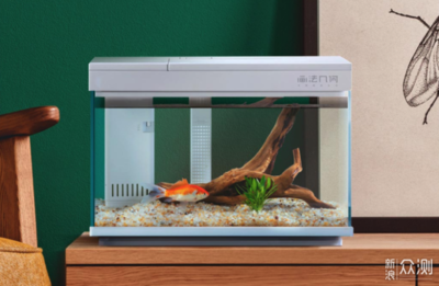 金龍魚是哪個國家產(chǎn)的（金龍魚是哪個國家產(chǎn)的品牌）