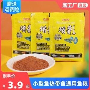火箭魚專用飼料品牌推薦：火箭魚專用飼料品牌 火箭魚專用飼料品牌推薦：火箭魚專用飼料品牌 龍魚百科 第2張