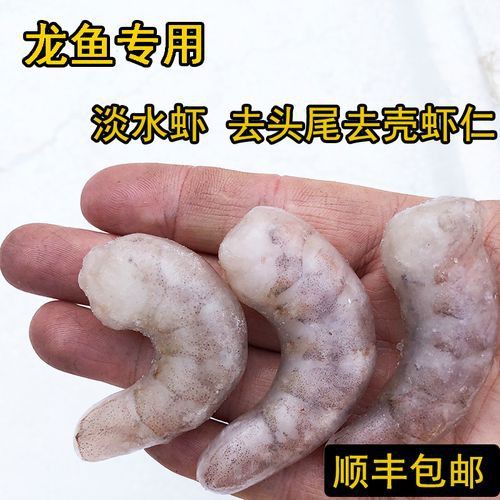 紅龍魚變色期間可以喂什么？