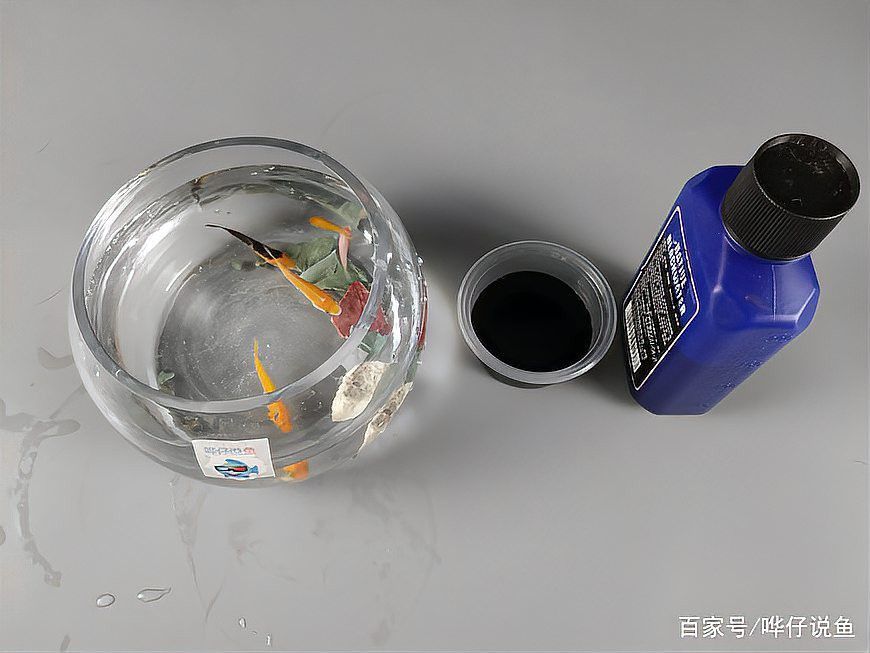 濃縮黑水素對龍魚有毒嗎