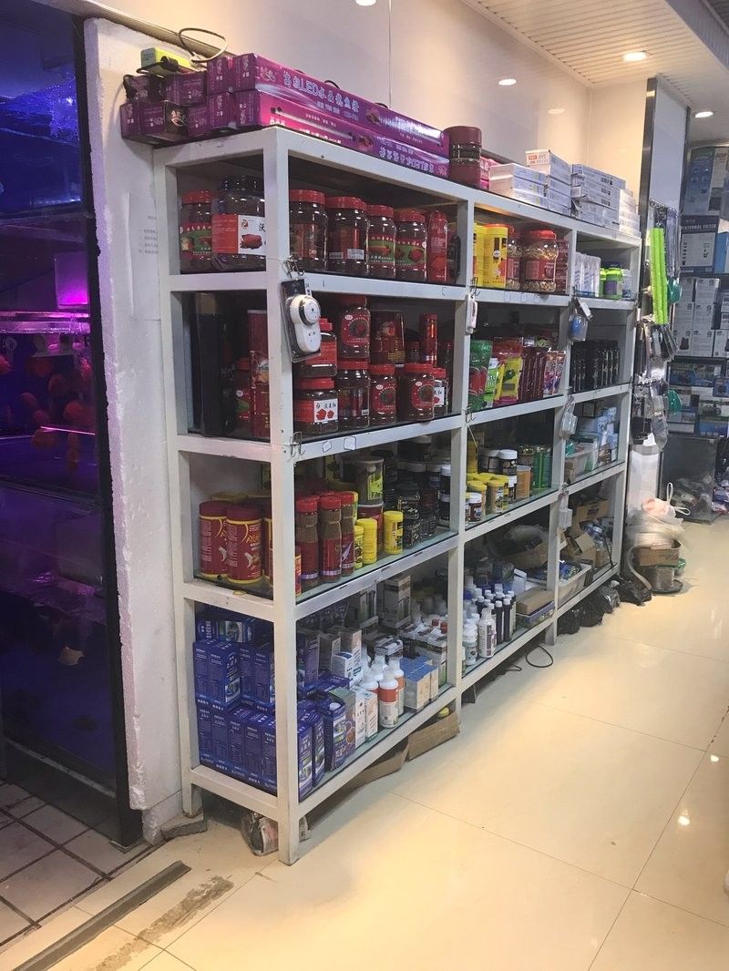 青島龍魚在哪賣的最好看