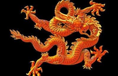 生肖龍養(yǎng)什么魚好養(yǎng)活:生肖龍的人適合養(yǎng)什么品種的魚? 龍魚百科 第3張 生肖龍養(yǎng)什么魚好養(yǎng)活:生肖龍的人適合養(yǎng)什么品種的魚? 生肖龍養(yǎng)什么魚好養(yǎng)活:生肖龍的人適合養(yǎng)什么品種的魚? 龍魚百科 第3張