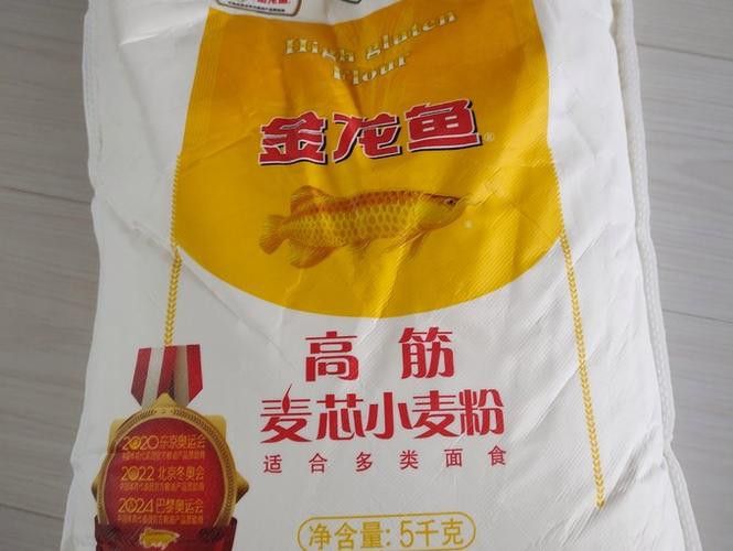 金龍魚(yú)白面